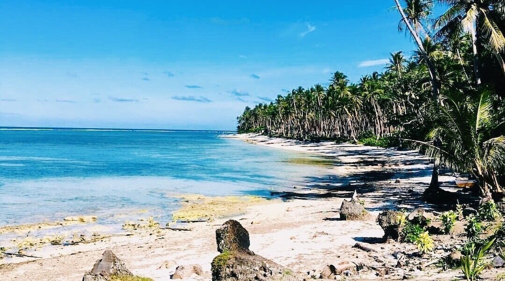 I just can’t describe how I felt when I found this beautiful side of the island. It only takes a moment to take this picture, but it will make you feel lucky to be in here forever. 🌴
.
.
.
.
.
.
.
.
.
.
.
📍San Isidro, Siargao Island, Philippines.
IT'S MORE FUN IN THE PHILIPPINES
___________________________________
🇵🇭🇵🇭🇵🇭
#philippines #travelphilippines #thephilippines
#visitphilippines #Choosephilippinesi. Lm
#TravelStoriesPh #Pinaswonders
#SeePililpinas #Itsmorefuninthephilippines
#Exploreph #VscoPhilippines
#The_ph #ComeseePh
___________________________________
🌴🌴🌴
#beachlifestyle #island
#Islandadventures
#paradise #paradiseisland #paradiseonearth #Travel #whitesandbeach
#beachlife #beautifulbeach
___________________________________
‼️‼️‼️
#siargao #neverstopexploring
#ShotoniPhone
#coconuttree