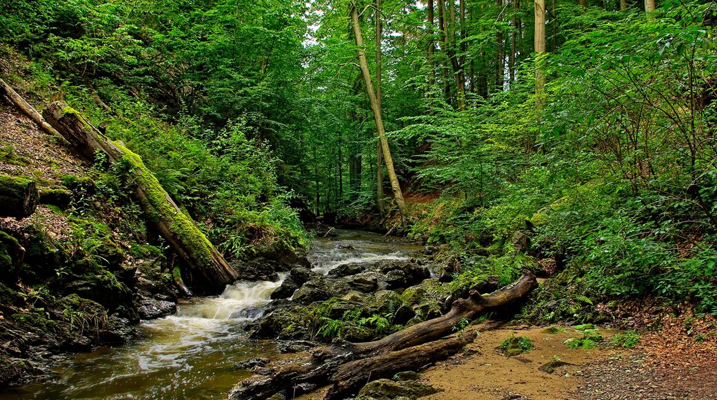 ํด๋ก์ธ ์