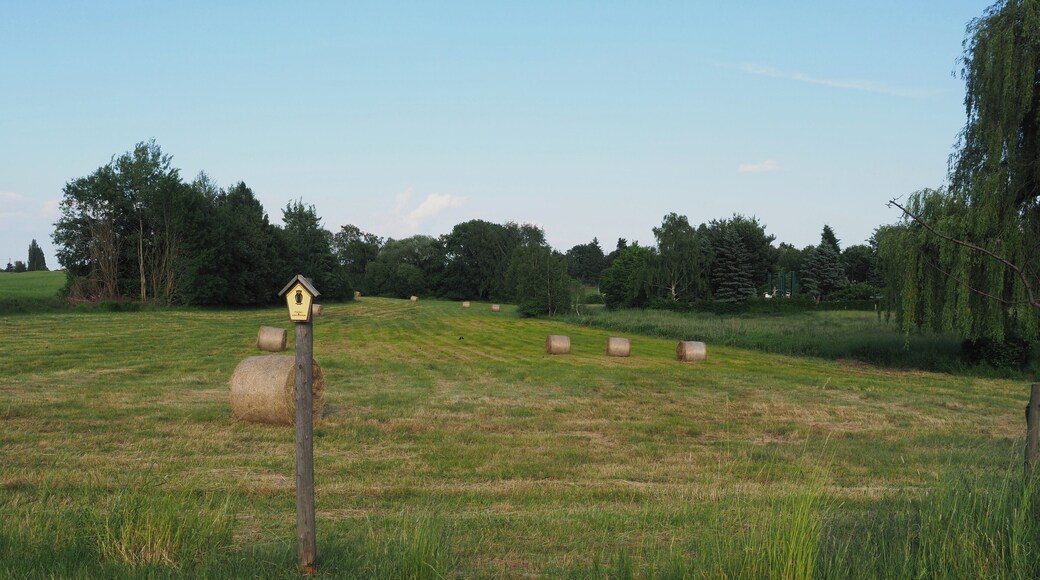 Feuchtwiese am Lößnitzweg im Dresdner Ortsteil Wilschdorf, Flächennaturdenkmal