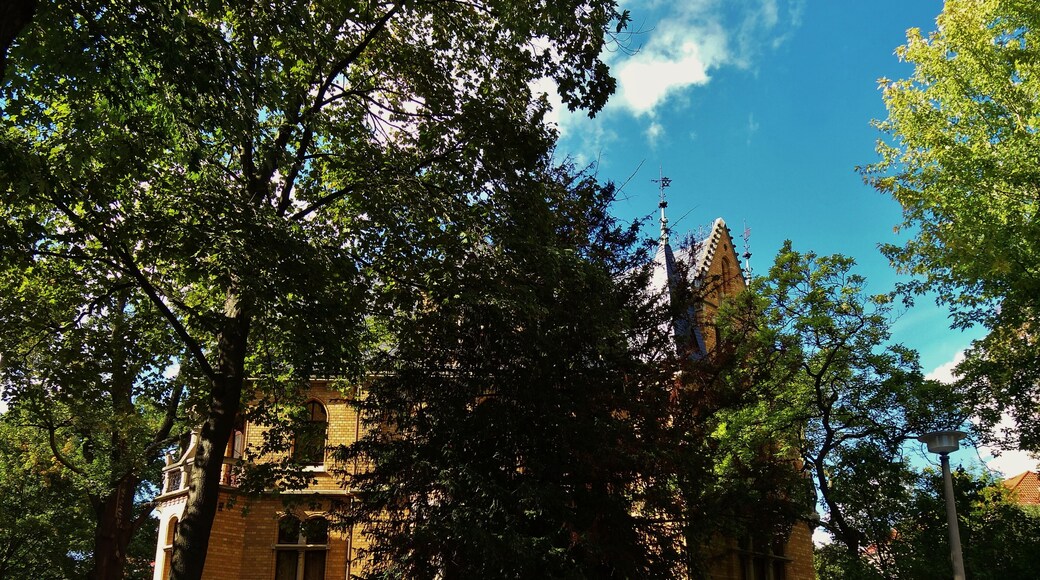 The villa Leubnitzer Straße 28, Dresden.