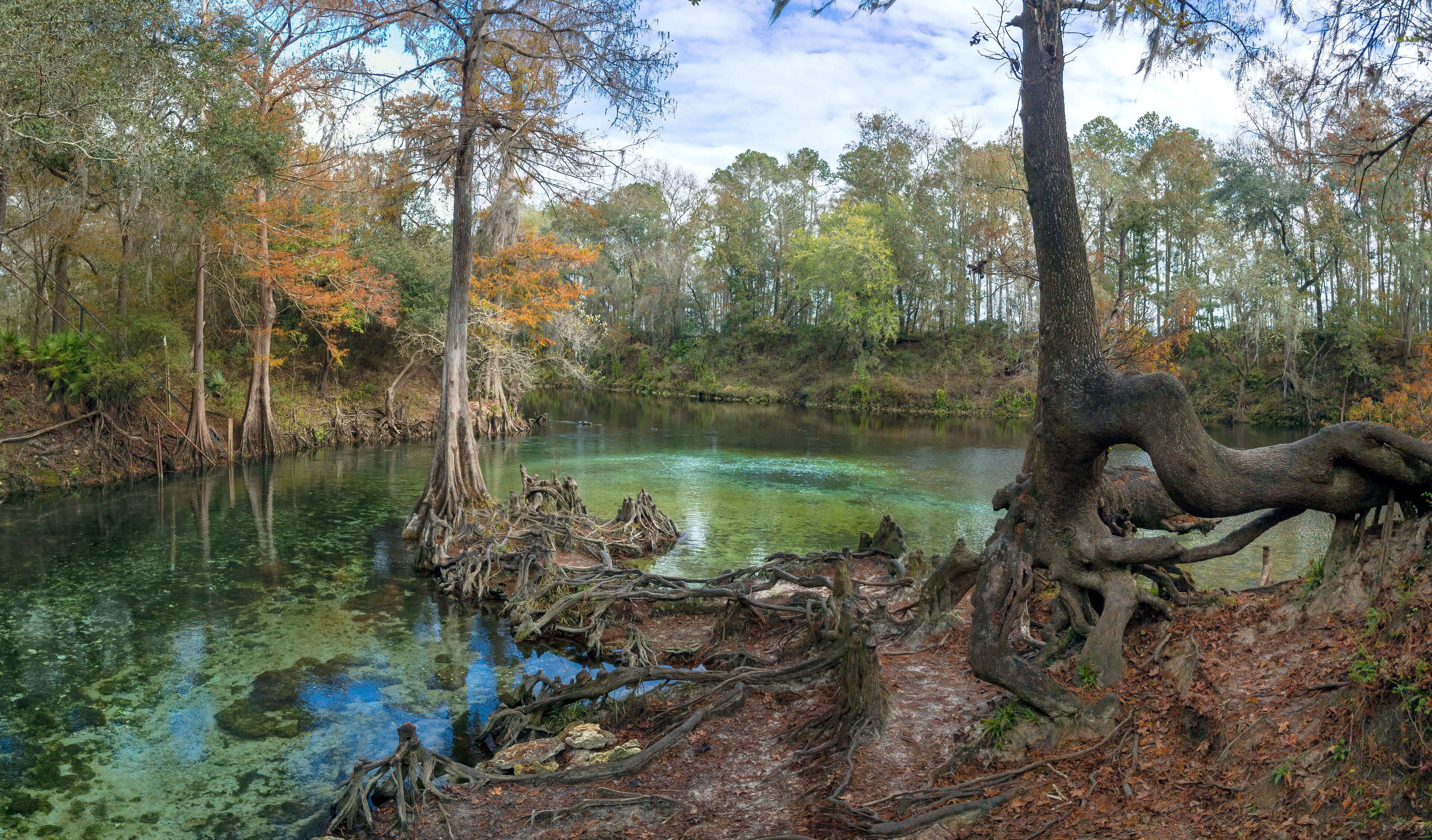 The Confluence of the Spring Run and the Withlacoochee River at Madison Blue Springs State Park, Madison County, Florida