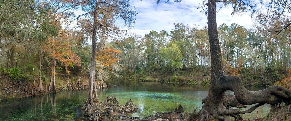 The Confluence of the Spring Run and the Withlacoochee River at Madison Blue Springs State Park, Madison County, Florida
