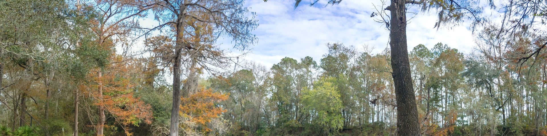 The Confluence of the Spring Run and the Withlacoochee River at Madison Blue Springs State Park, Madison County, Florida