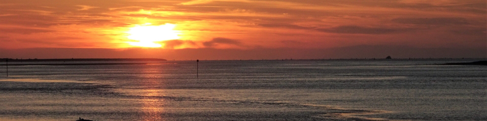 🎶pineapple fields forever🎶