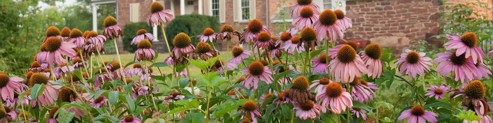 Ben Lomond is a historic site in Manassas Virginia, which was built by Benjamin Tasker Chinn and used as a former plantation and then hospital during