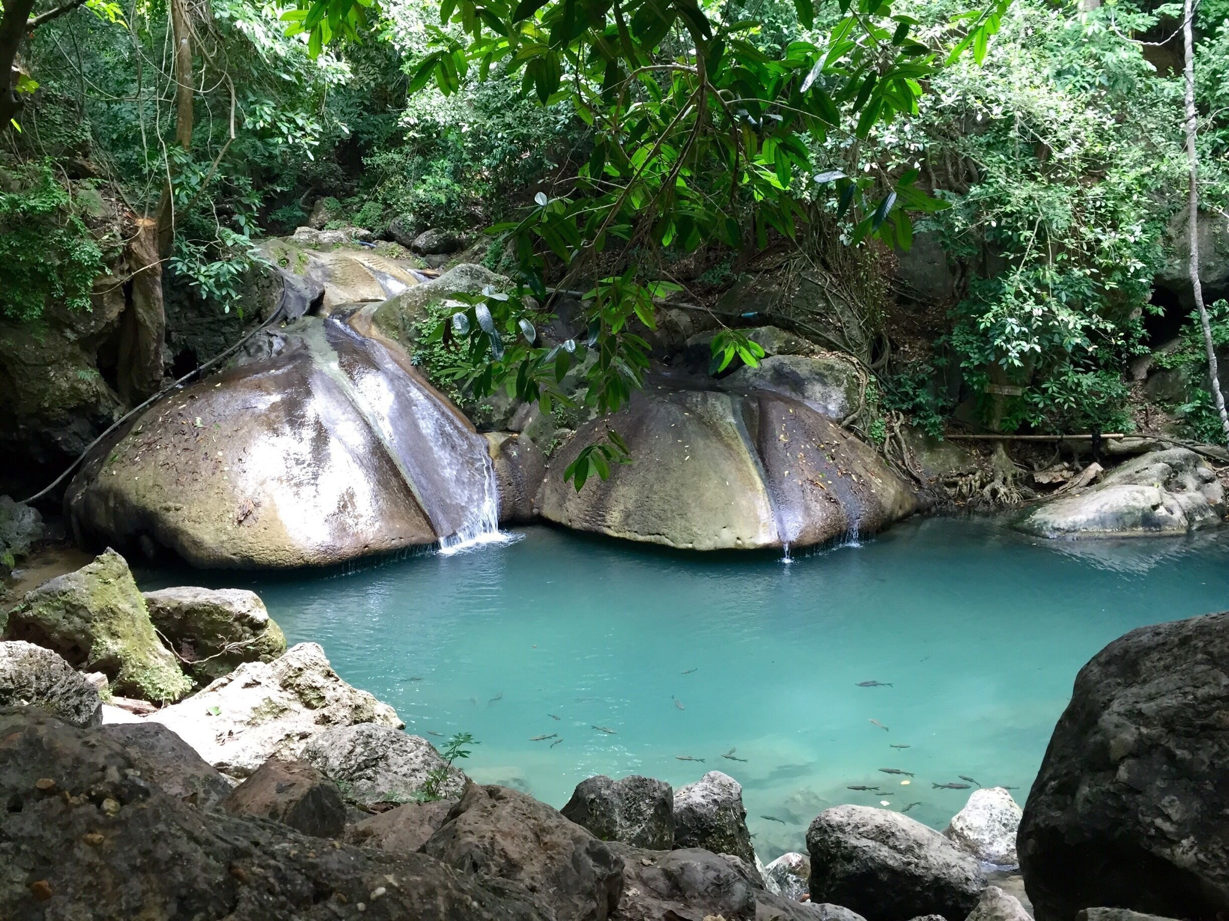 Simply must take the time to visit here. 