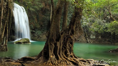 Kanchanaburi’s Erawan Waterfall – 7 Levels of Natural Beauty, named after the three headed elephant, is famous for its seven layers of falls
To virtually travel on this enchanting place watch my video below
https://vimeo.com/ondemand/emeraldfalls
FREE ONE MONTH SUBSCRIPTION:
https://www.4krelaxtv.com
For more nature videos:
https://www.worldnaturevideo.com
https://vimeo.com/relaxingnaturevideos
For Footage License:
judith@naturedvds.com