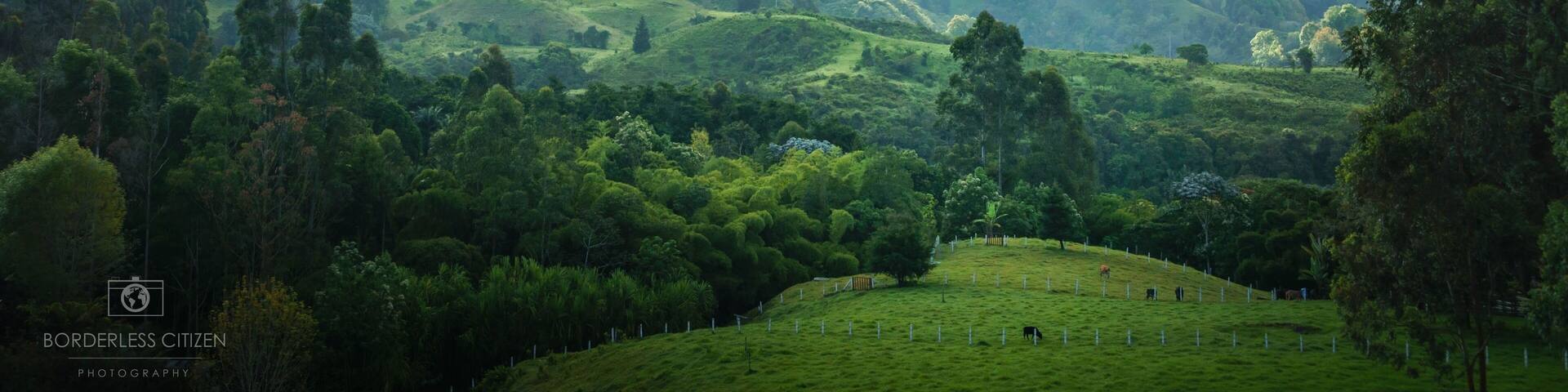 Waking up on to coffee on the balcony and this view after arriving in pitch black the night before. What could be better?