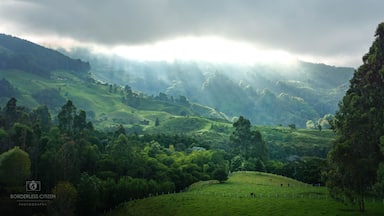 Waking up on to coffee on the balcony and this view after arriving in pitch black the night before. What could be better?