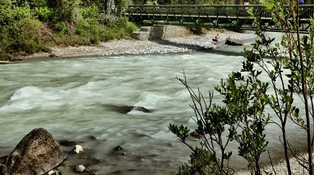 Takakkaw Falls is a waterfall located in Yoho National Park, near Field, British Columbia, in Canada. Its highest point is 302 metres (991 ft) from its base, making it the 45th tallest waterfall in eastern British Columbia.
#National Park