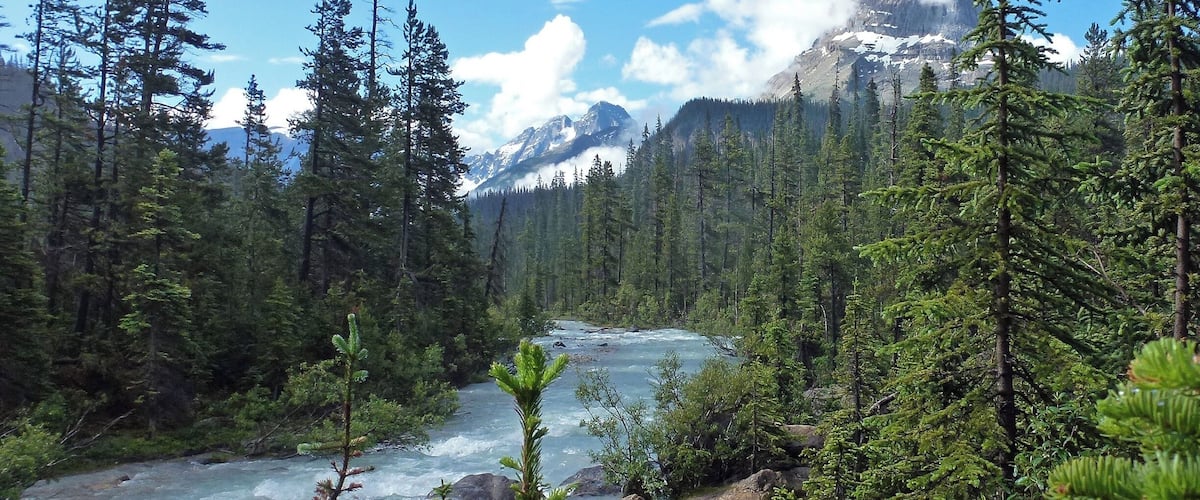 The Yoho River at Takakkaw Falls looking toward Cathedral Mountain with the peak covered in white cloud to upper right of the photo. #GreatOutdoors