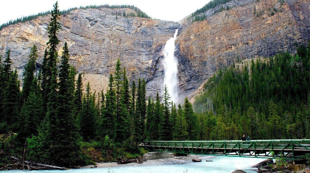 Located in Yoho National Park, near Field, British Columbia, in Canada, Takakkaw Falls' highest point is 384 metres (1,260 ft) from its base, making it the second-highest officially measured waterfall in western Canada after Della Falls on Vancouver Island and third-highest in the entire country