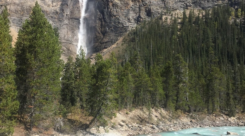 The river and the falls in Field BC