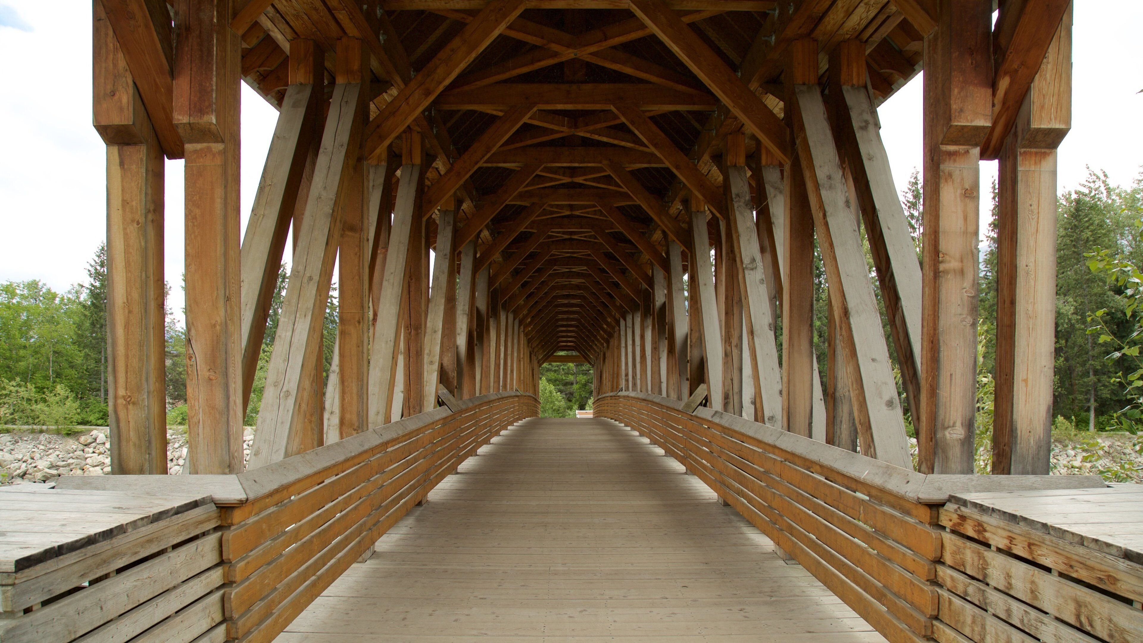 Kicking Horse Pedestrian Bridge which includes a bridge
