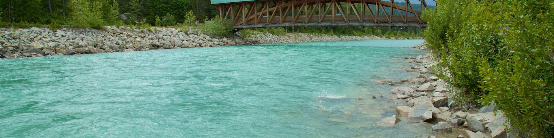 Kicking Horse 馬術橋 设有 橋梁 和 河流或小溪
