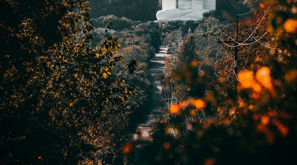 Temple Wat Tham Phrathat Khao Prang at Nikhom Lamnarai, Chai Badan District, Lopburi Province, Thailand. 01-30-2022