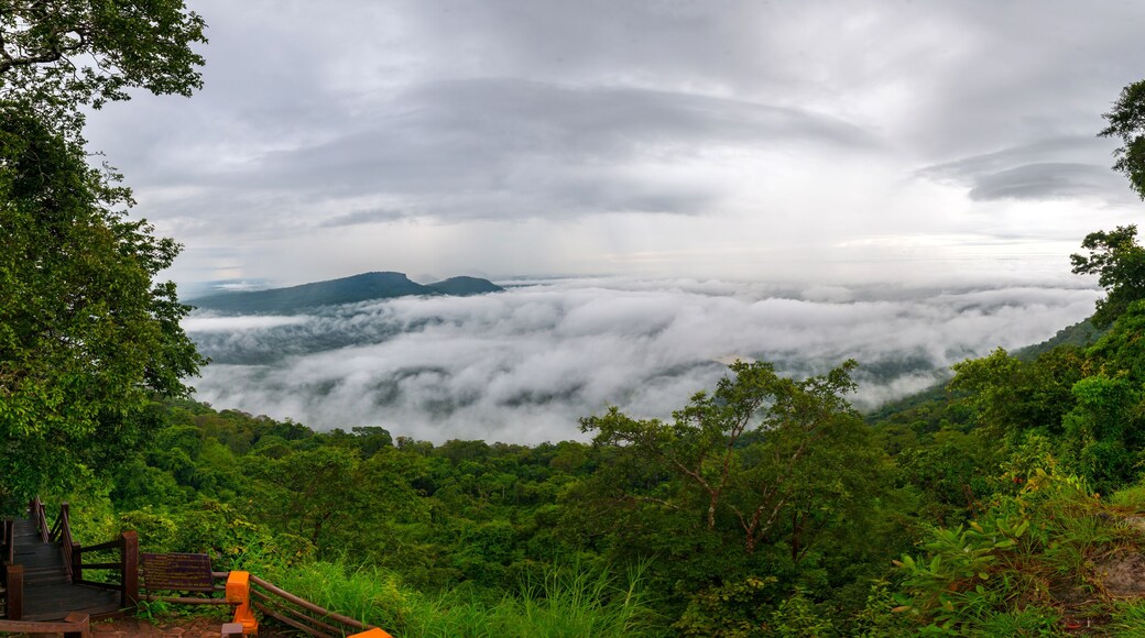 Clouds and fog above mountain, beautiful morning sunshine landscape at Pha Mo i Daeng Phra Wihan National Park. Sisaket province,Thailand,ASIA.