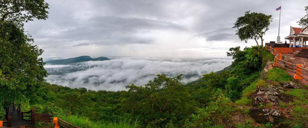 A viewpoint overlooking a lush forest and clouds below.