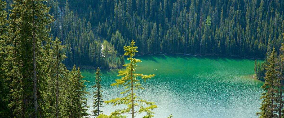 Top of the World Provincial Park which includes a lake or waterhole, tranquil scenes and forest scenes