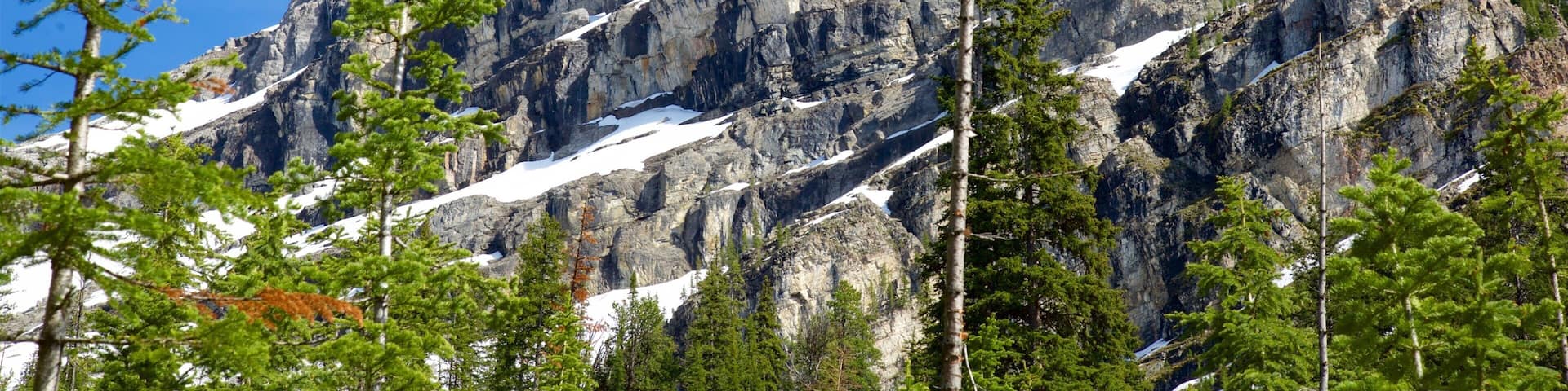 Top of the World Provincial Park showing mountains