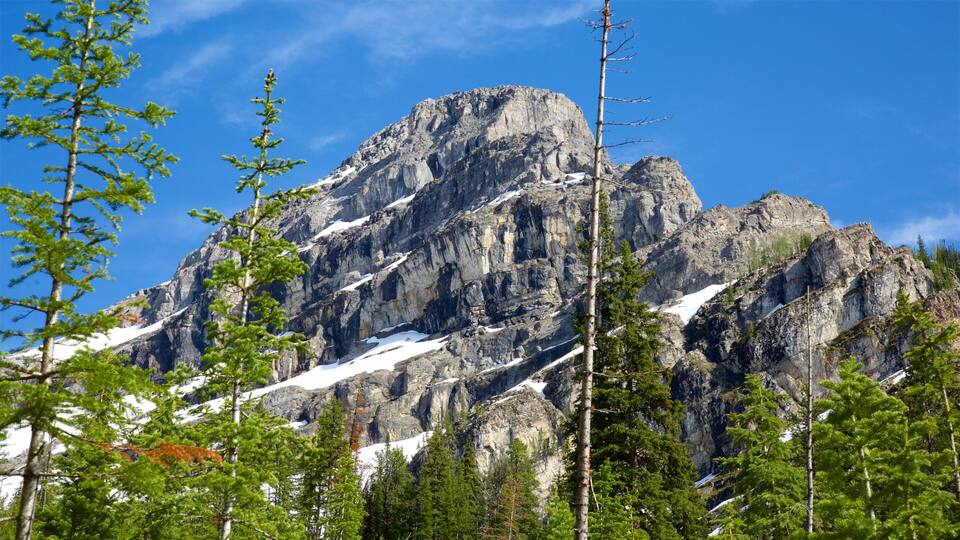 A rugged mountain peak with snow patches and dense green trees in the foreground.