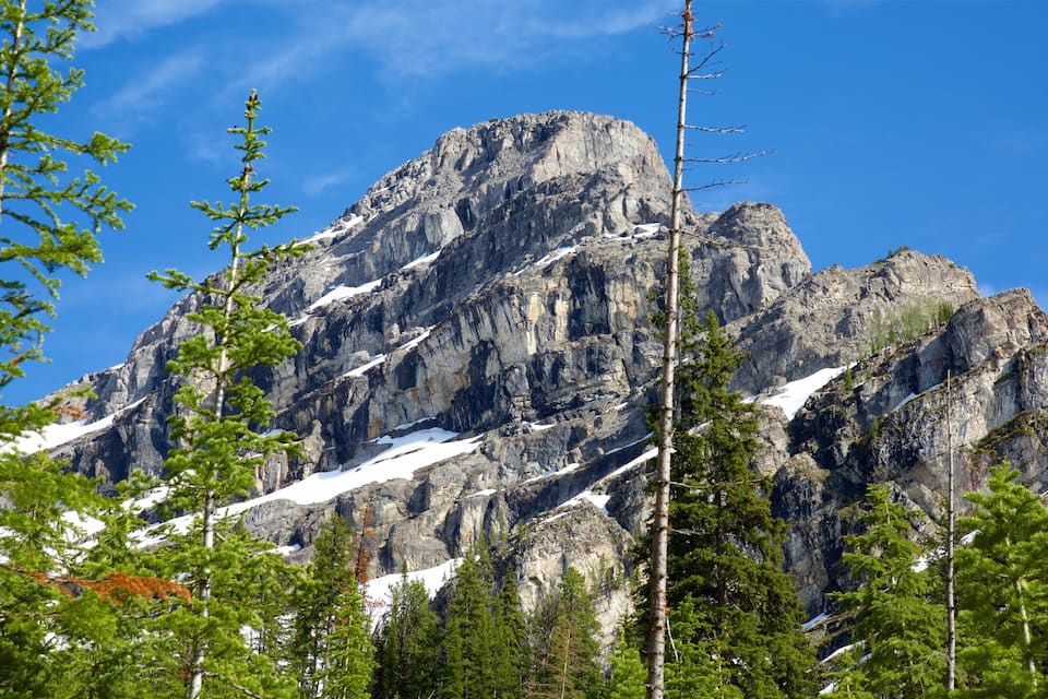 A rugged mountain peak with snow patches and dense green trees in the foreground.