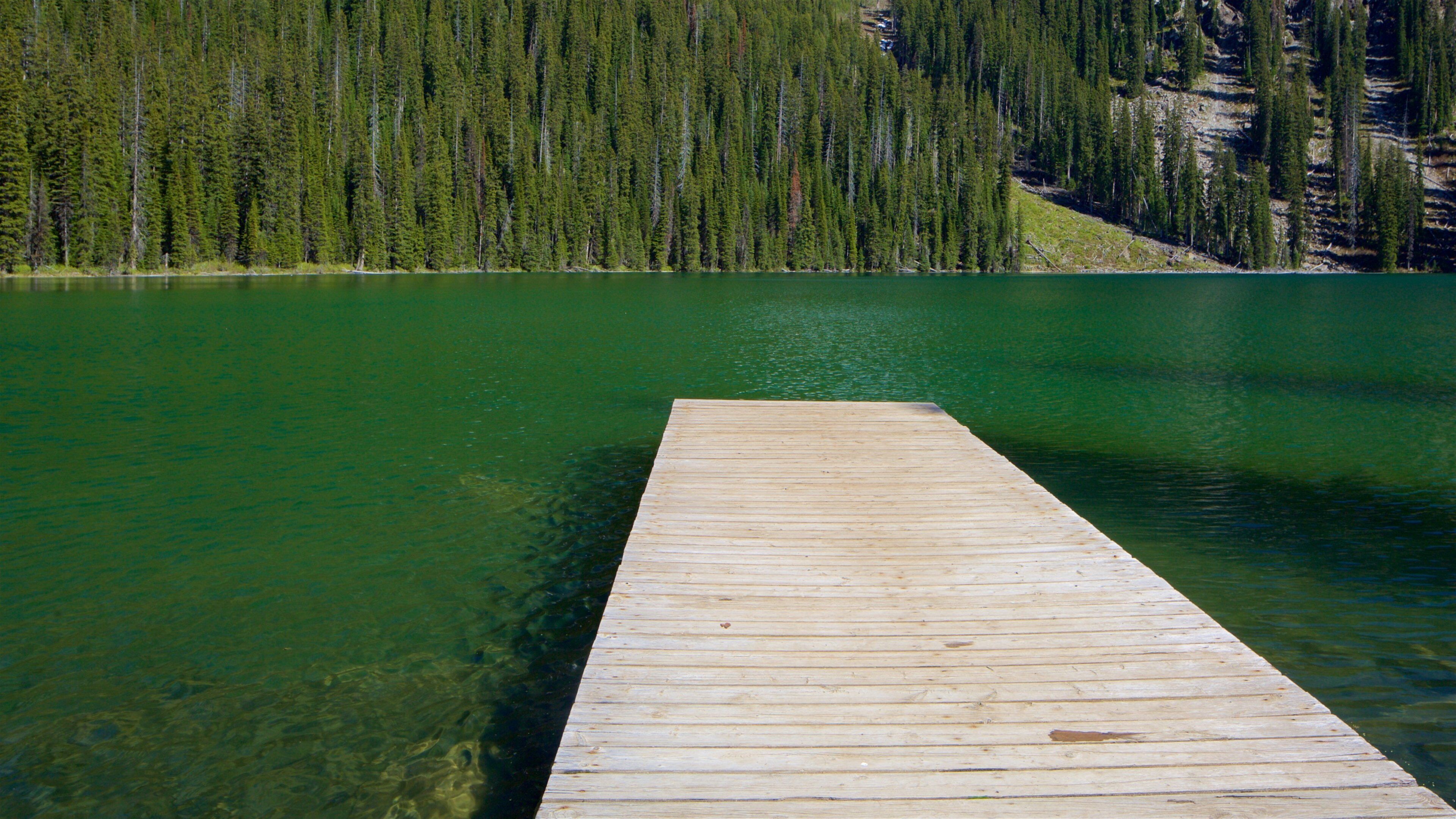 Top of the World Provincial Park which includes forest scenes and a lake or waterhole