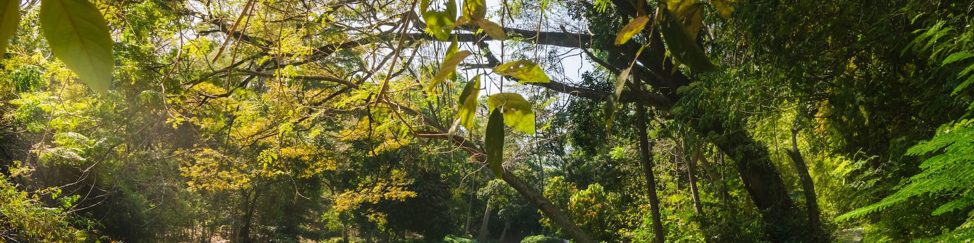 Panorama beautiful green nature view scenic landscape waterfall in tropical jungle rain forest, Attraction famous outdoor travel Saraburi Thailand, Spring background, Tourism destination place Asia