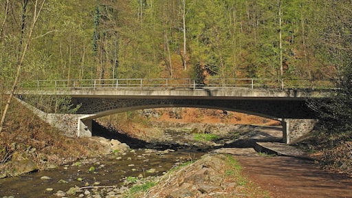 Denkmalgeschützte Sachgesamtheit Weißeritztalbahn – Bogenbrücke 6 über die Rote Weißeritz bei km 3,2