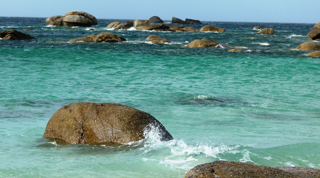 GPS de prise de vue : 48.676639, -4.349596