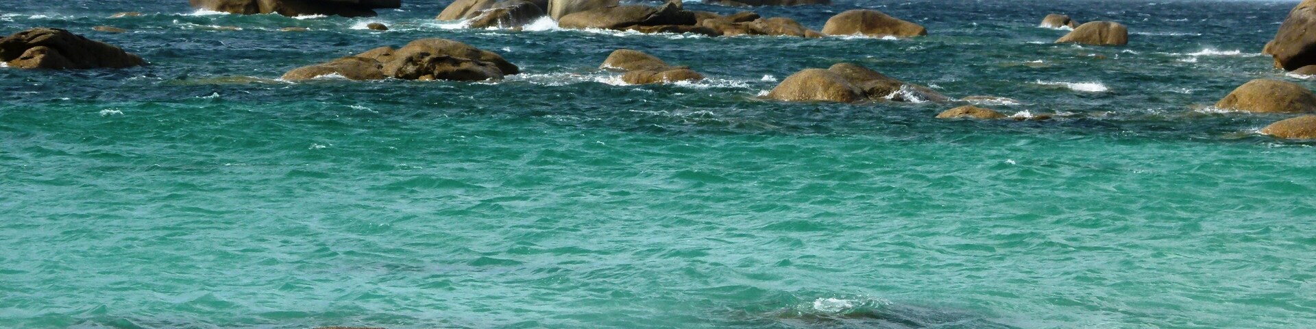 GPS de prise de vue : 48.676639, -4.349596