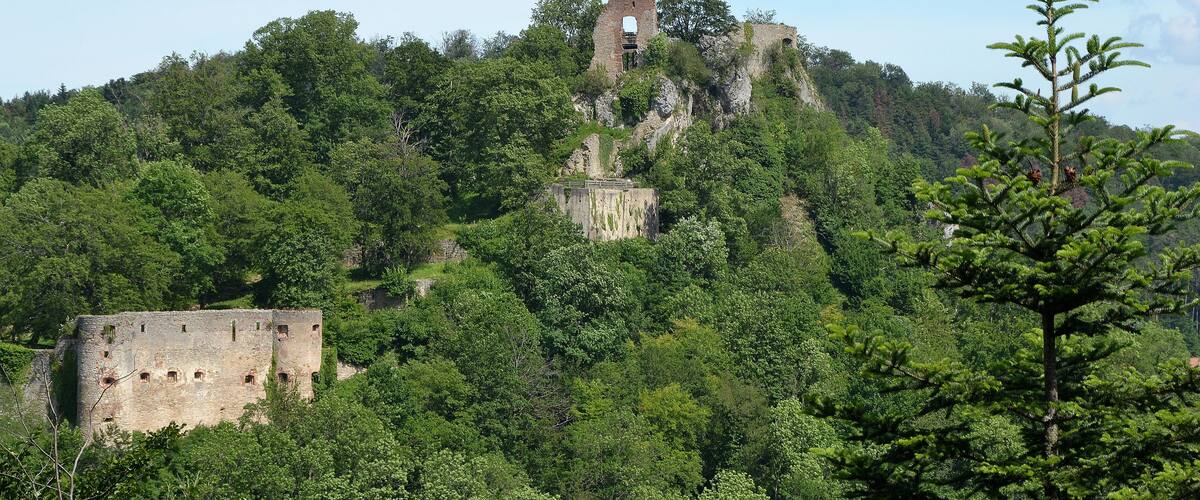 A historic castle on a hill surrounded by dense forest.