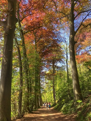 A walk in the Geulpark,near Schaloen castle in Valkenburg,NL