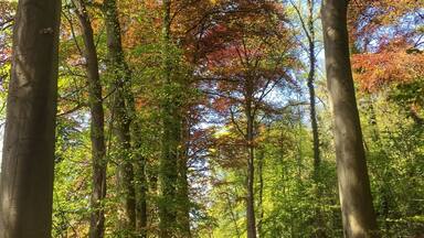 A walk in the Geulpark,near Schaloen castle in Valkenburg,NL