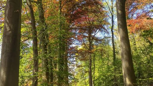 A walk in the Geulpark,near Schaloen castle in Valkenburg,NL