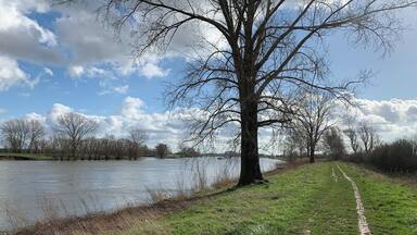 Love it!
De Maasheggen - Boxmeer - the Netherlands 🇳🇱