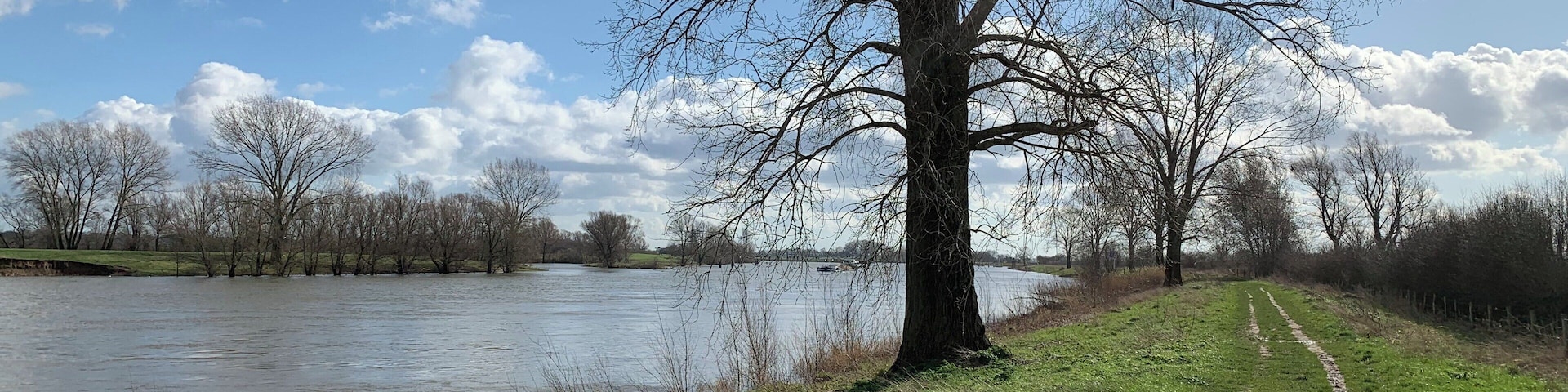 Love it! 
De Maasheggen - Boxmeer - the Netherlands 🇳🇱