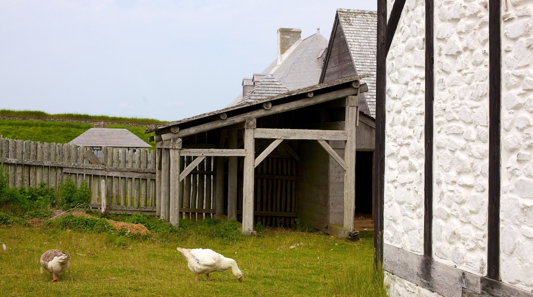 Fortress Louisbourg National Historic Site featuring bird life