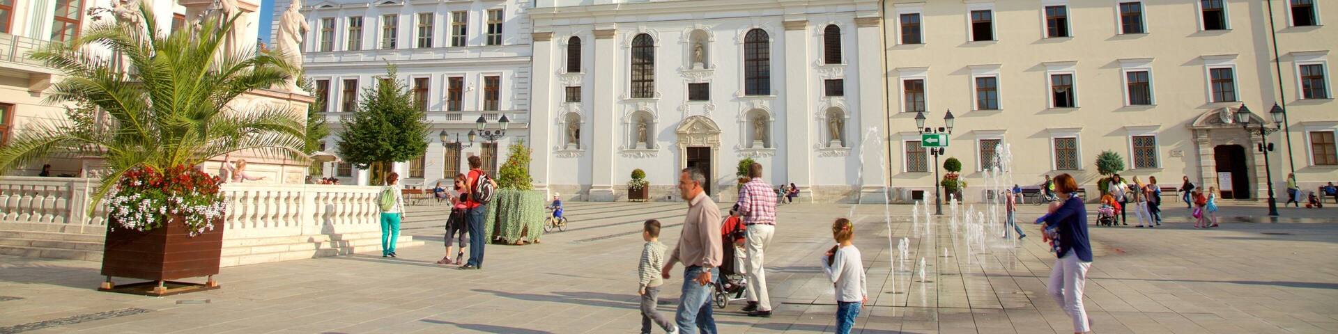Gyor Benedictine Church which includes a monument, a church or cathedral and heritage architecture