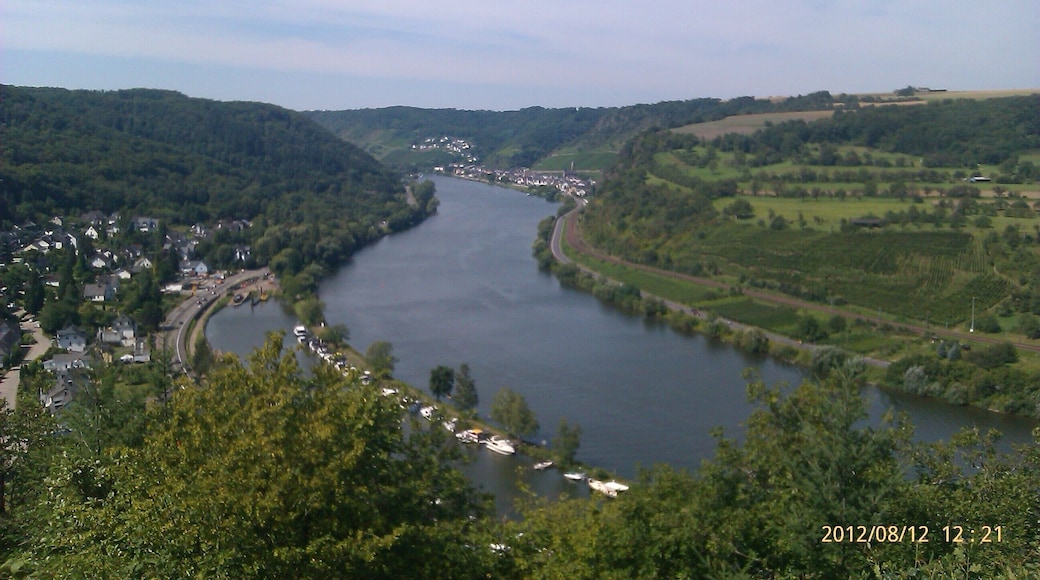 56332 Brodenbach, Germany