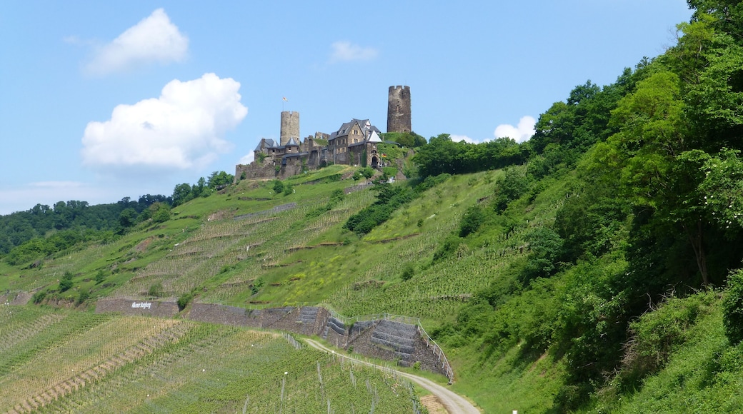 Burg Thurant oberhalb von Alken an der Mosel