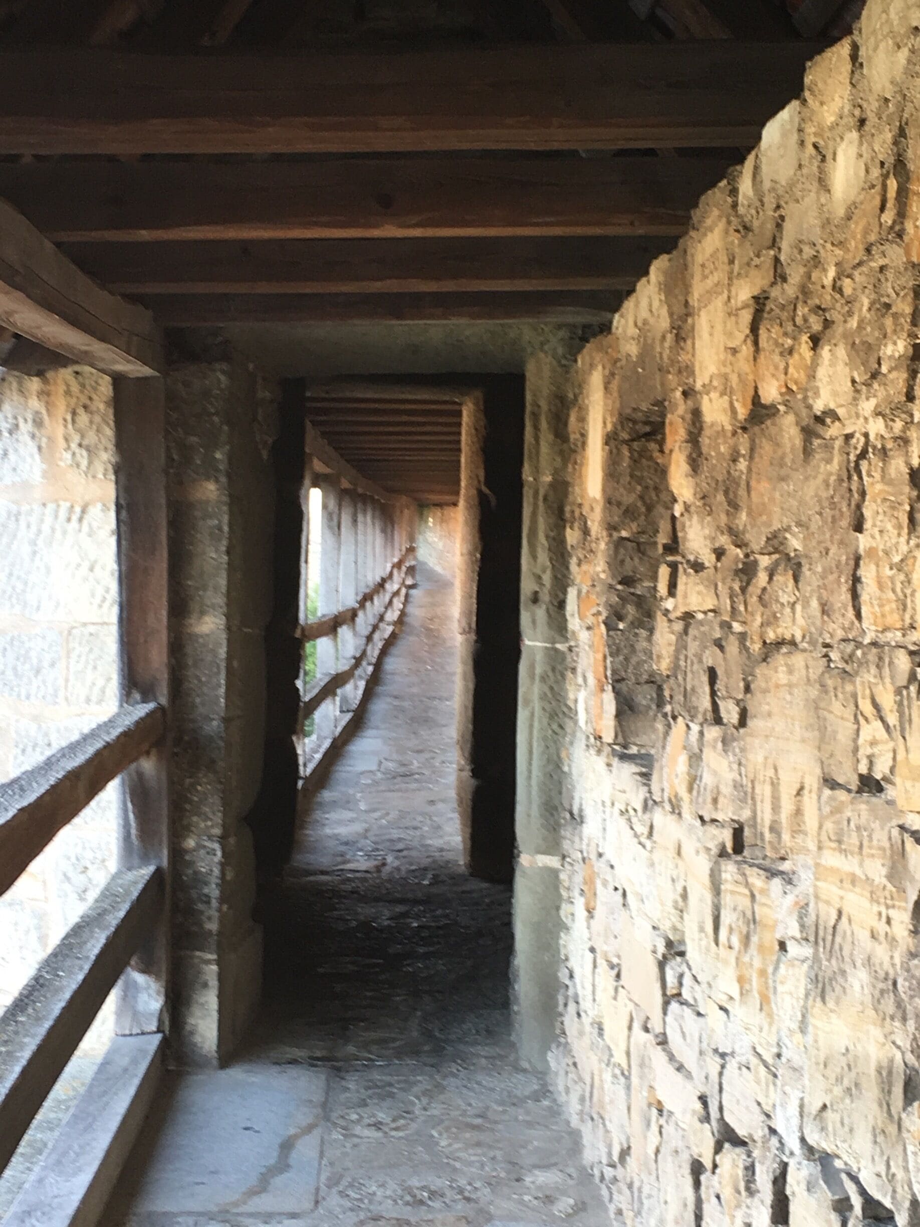 This hike is around the perimeter walls of Rothenburg ob De tuber. I believe it's where the guards of the walls patrol the walled city centuries ago. #takeahike 