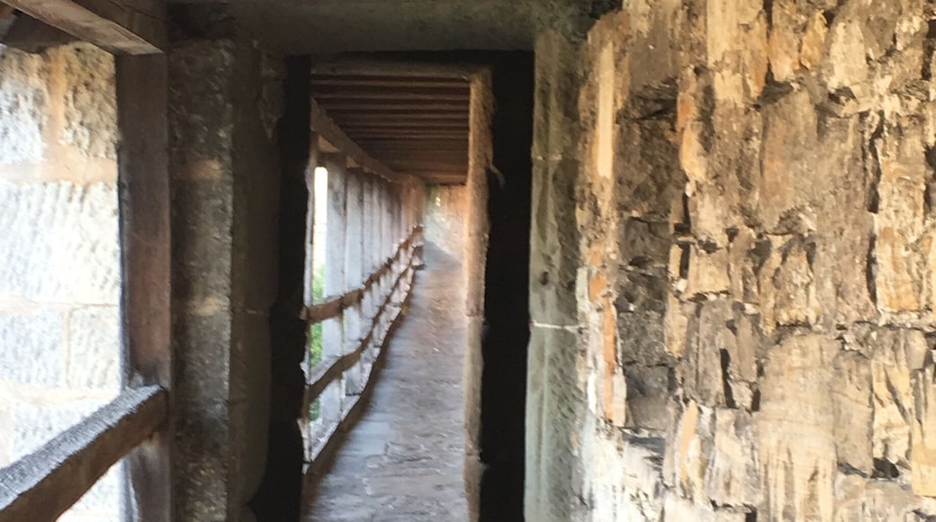 This hike is around the perimeter walls of Rothenburg ob De tuber. I believe it's where the guards of the walls patrol the walled city centuries ago. #takeahike