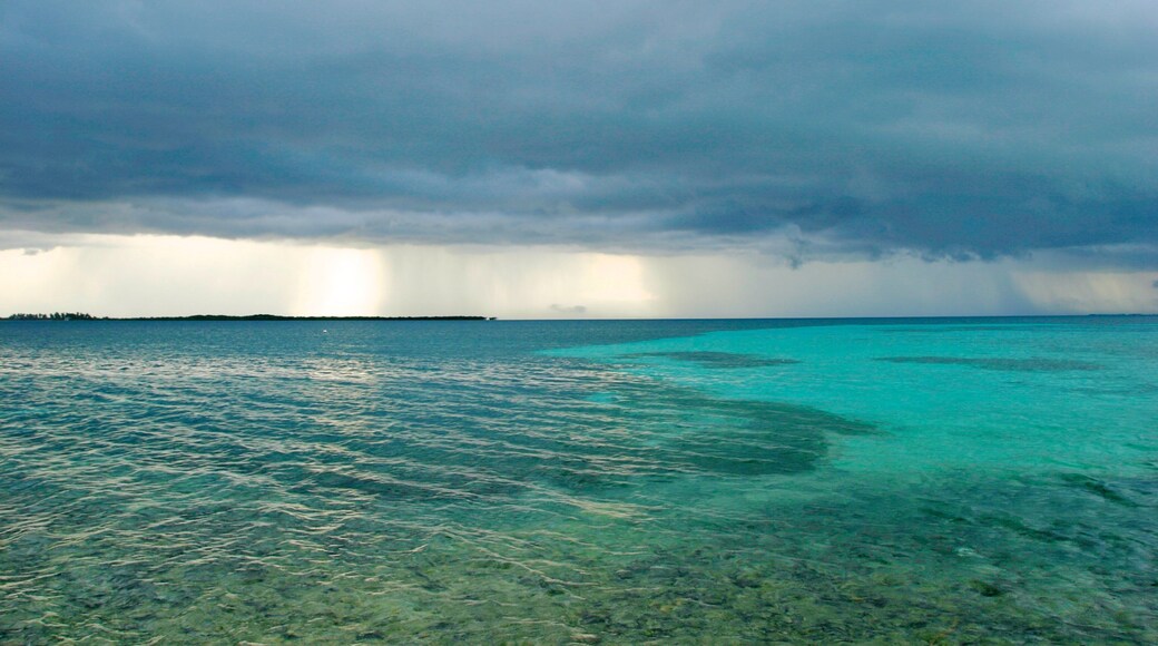 Cayo Tabaco mostrando vistas generales de la costa