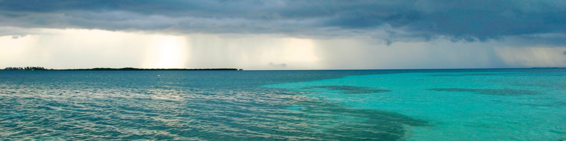 Tobacco Caye which includes general coastal views