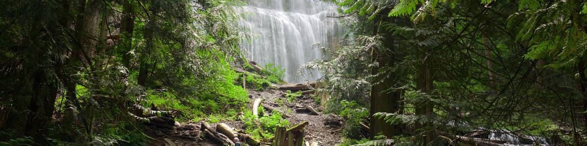Bridal Veil Falls showing a waterfall and forest scenes