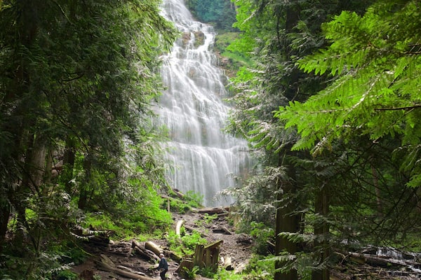 ブライダル ベール滝 どの含み 段滝 と 森林