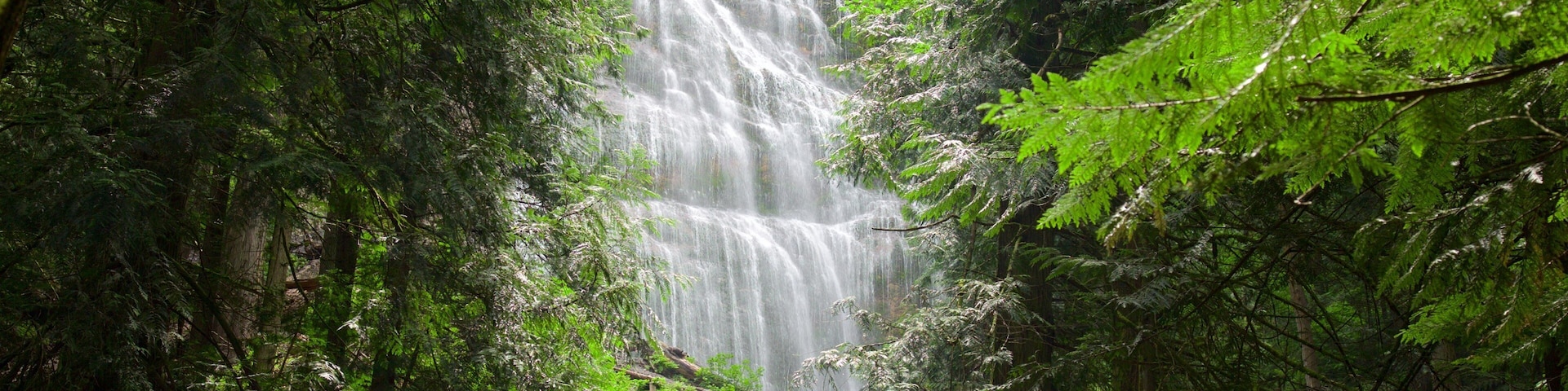 Bridal Veil Falls showing a waterfall and forest scenes