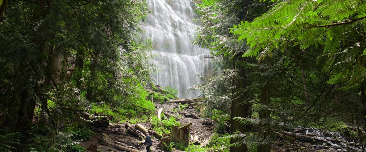 Bridal Veil Falls featuring forest scenes and a waterfall