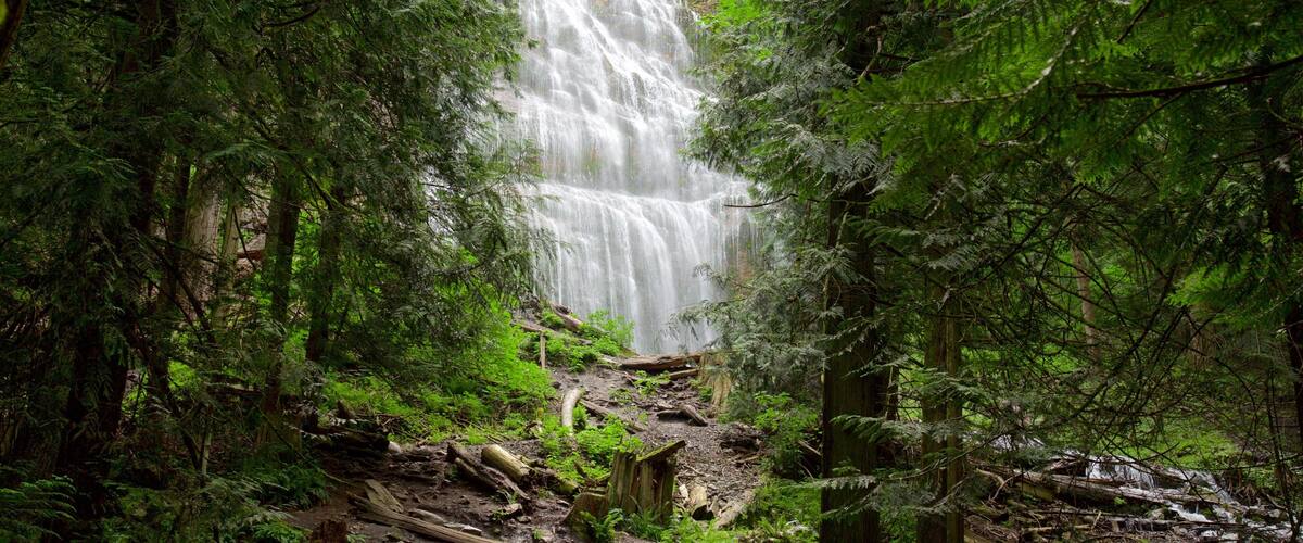Catarata Bridal Veil ofreciendo una catarata y bosques
